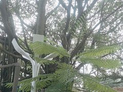 -广州海洋馆