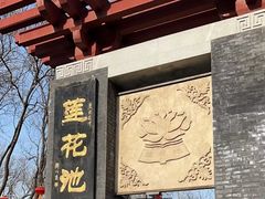 -莲花池公园