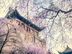 -武汉大学-樱园