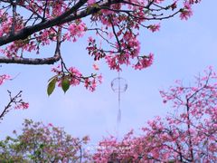 -宝墨园景区