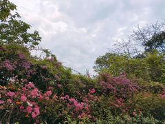 -乌山风景区