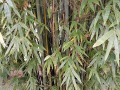 -金银湖国家城市湿地公园