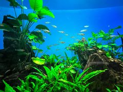 -太平洋海底世界