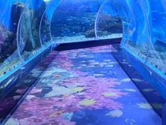 -顺德南宏海立方海洋公园