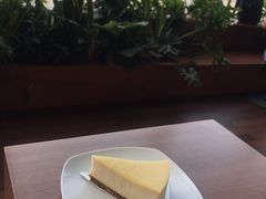 柚子芝士蛋糕-Seesaw Coffee(朝阳大悦城店)