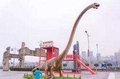 -恐龙探索乐园(磁器口店)