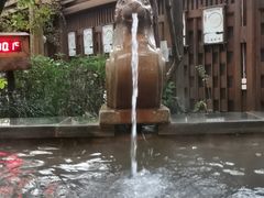 -张家港金凤凰度假村温泉