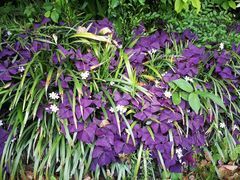 -Patek Philippe百达翡丽(上海源邸店)