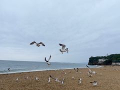 -傅家庄公园