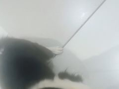 -帕帕拉兹宠物(亚洲旗舰店)