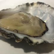 -Oyster Talks 四度蚝法餐厅