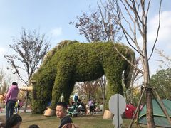 -上海浦江郊野公园-5号停车场