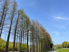-上海月湖雕塑公园