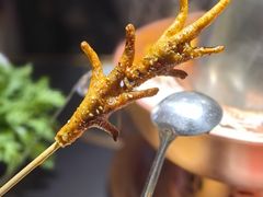 -京悦南门涮羊肉·羊蝎子火锅(田林路店)
