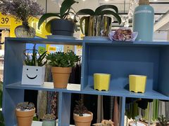 -Libra Flora花店(骆岗中央公园店)