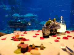 -OSSIANO奥西亚诺海底餐厅