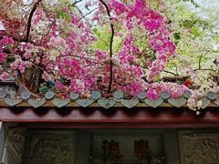 -深圳国际园林花卉博览园