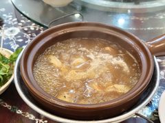 -大中鱼翅 Taitong Shark Fin