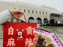 -自贡恐龙博物馆