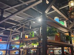 -探鱼·鲜青椒爽麻烤鱼(北京路天河城店)