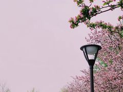 -海棠花溪(元大都城垣遗址公园)