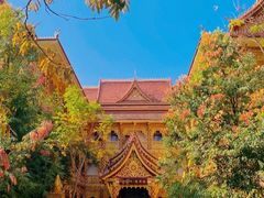 -曼听御花园