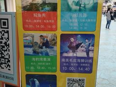 -芜湖新华联大白鲸海洋公园