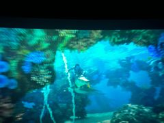 -上影国际影城(普陀绿地缤纷城店)