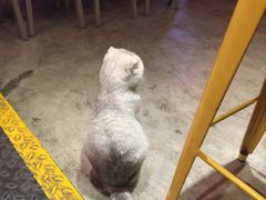 -MIKAKU(万达广场上海宝山店)