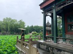 -莲池书院博物馆