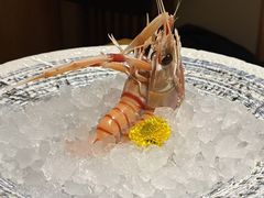 -月龍吟(朝龙汇店)