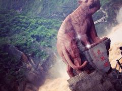 -丽江虎跳峡景区-售票处