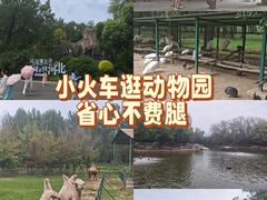 -秦皇岛野生动物园