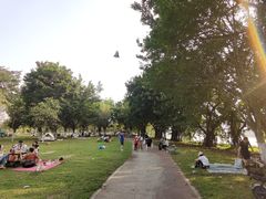 -小洲村