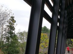 -昆山城市生态森林公园