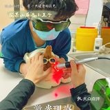 萌兔的一场健康之旅🚢｜关忠动物医院🏥