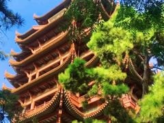 -黄鹤楼公园(黄鹤楼)