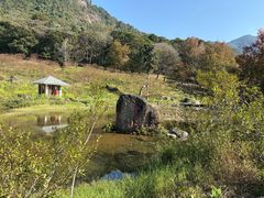 -广州市石门国家森林公园