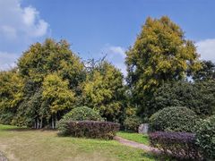 -张坝桂圆林公园