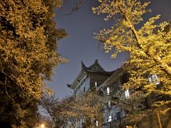 -武汉大学-樱园