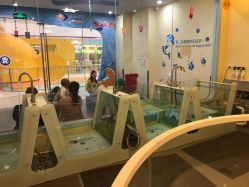 -沫奇婴幼儿水育馆(青山湖万达店)