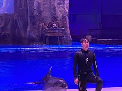 -华夏文旅海洋公园