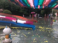 -思念果岭悦温泉