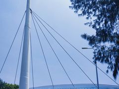 -演武大桥观景平台