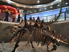 -国家自然博物馆