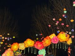 -淄博花灯齐彩城