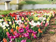 -上海东方佘山翰悦阁酒店·Vie全日制餐厅