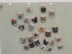 -四月宠物医院·猫专科·心脏专科·内科(转塘店)