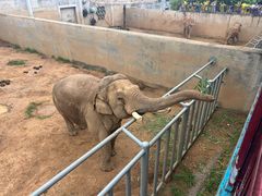 -西霞口神雕山野生动物世界