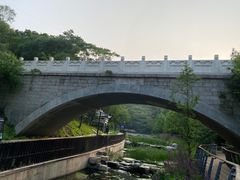 -白水寺森林公园